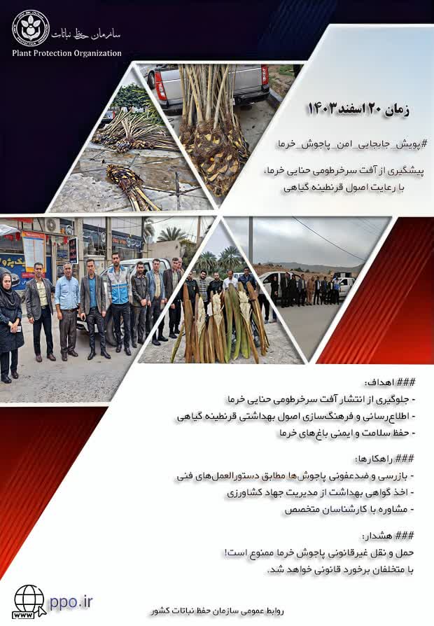 پویش خرما.jpg
